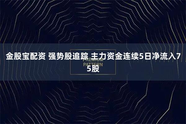 金股宝配资 强势股追踪 主力资金连续5日净流入75股